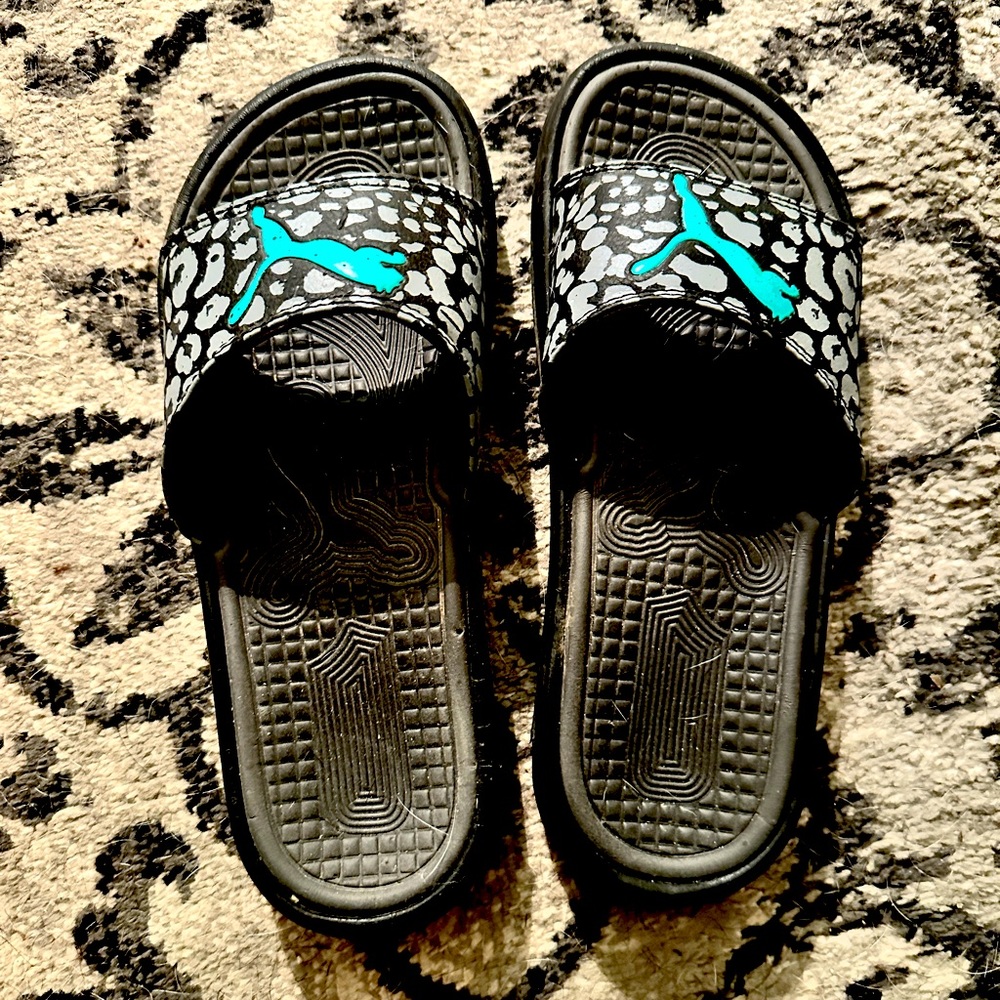 Puma slides